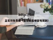 孟若羽免费版（孟若因是哪部电视剧）